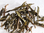Grüner Tee Sencha Uchiyama Japan Bioqualität